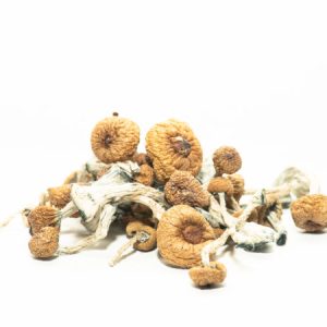 Shop For Magic Mushrooms Online Italy