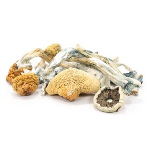 Shop For Blue Meanie Magic Mushrooms online California