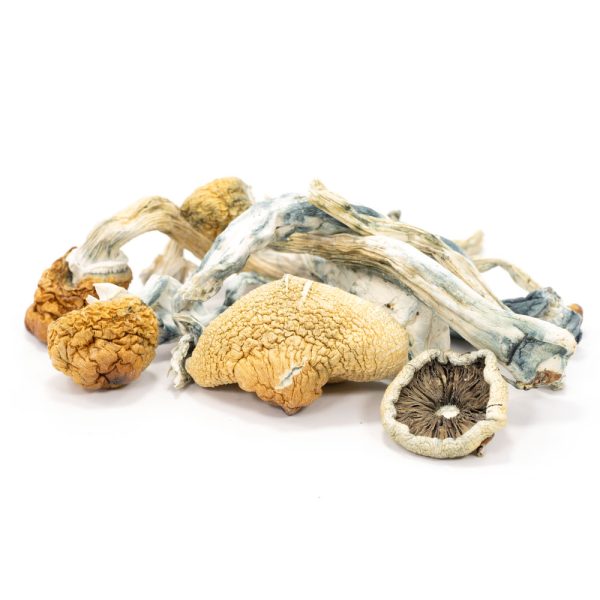 Shop For Blue Meanie Magic Mushrooms online California